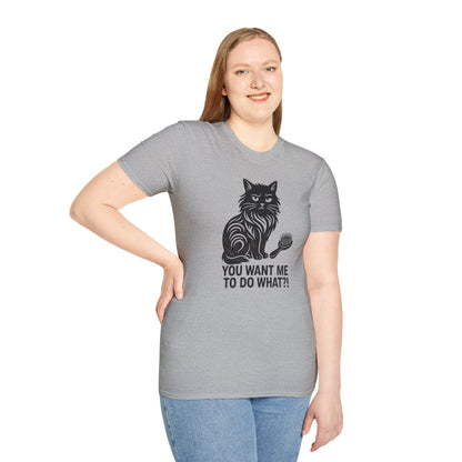 Cranky Cat with a Hairbrush