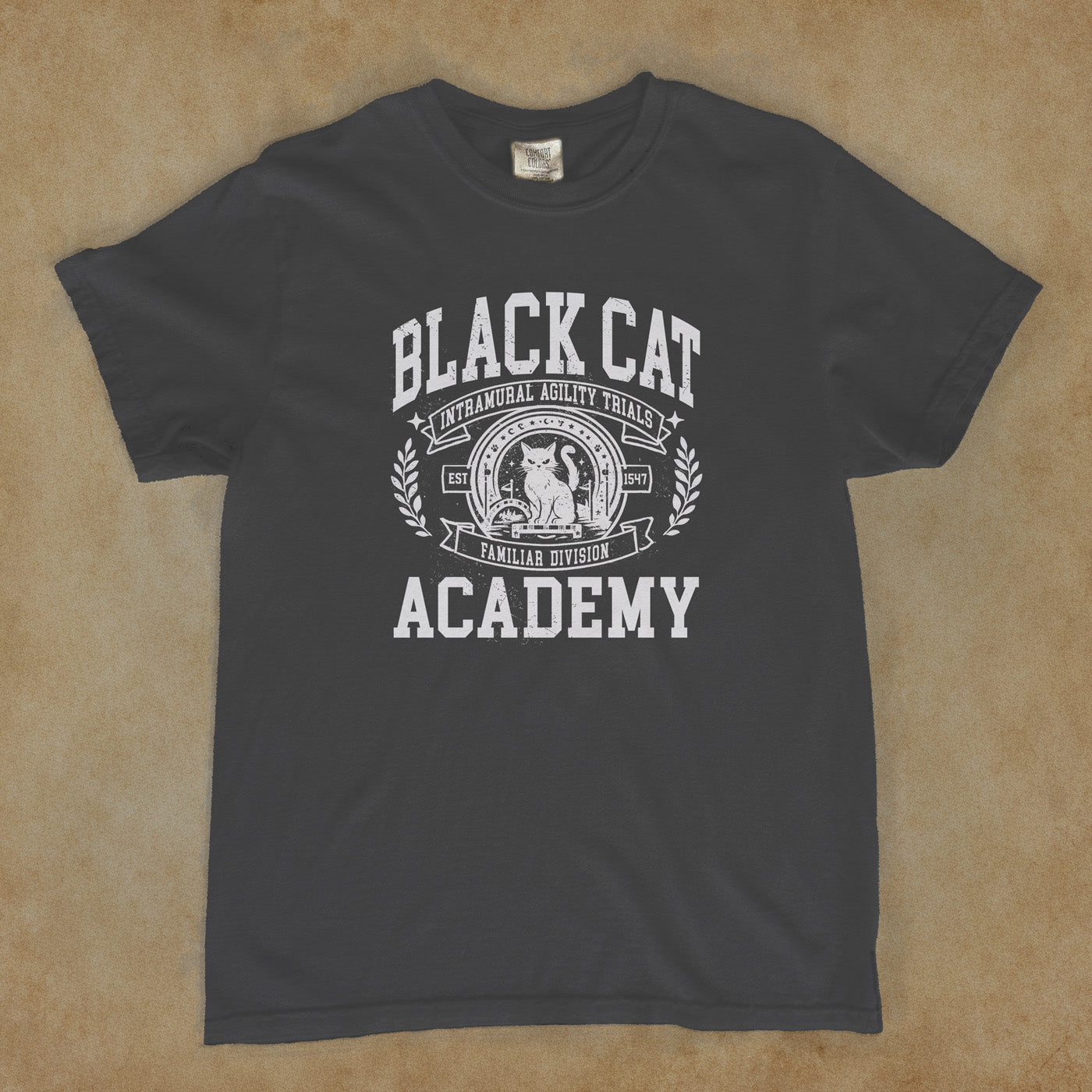 Intramural Sports: Familiar Division Agility Trials - Black Cat Academy