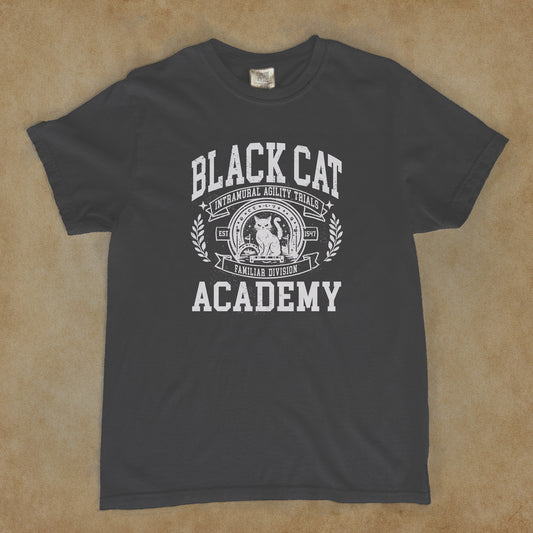 Intramural Sports: Familiar Division Agility Trials - Black Cat Academy