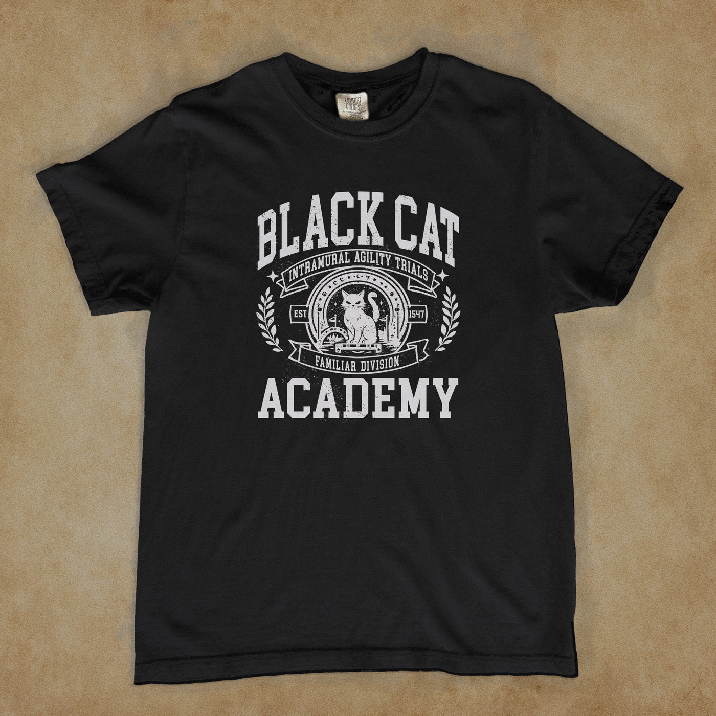 Intramural Sports: Familiar Division Agility Trials - Black Cat Academy