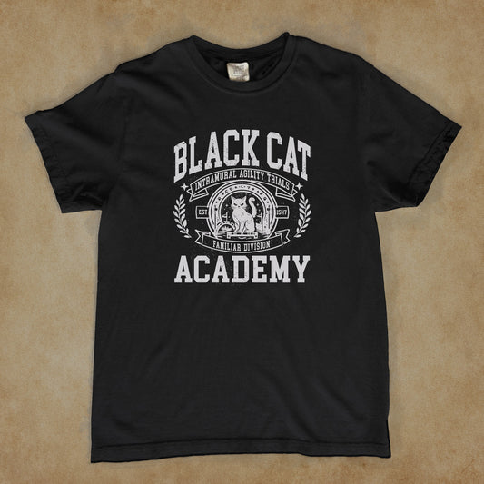 Intramural Sports: Familiar Division Agility Trials - Black Cat Academy