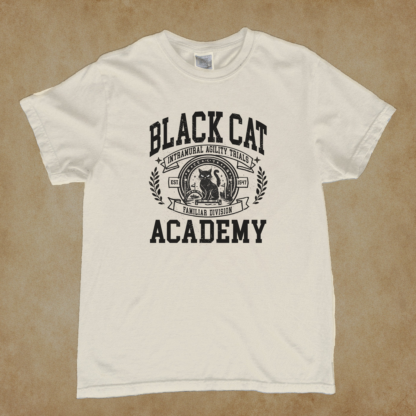 Intramural Sports: Familiar Division Agility Trials - Black Cat Academy