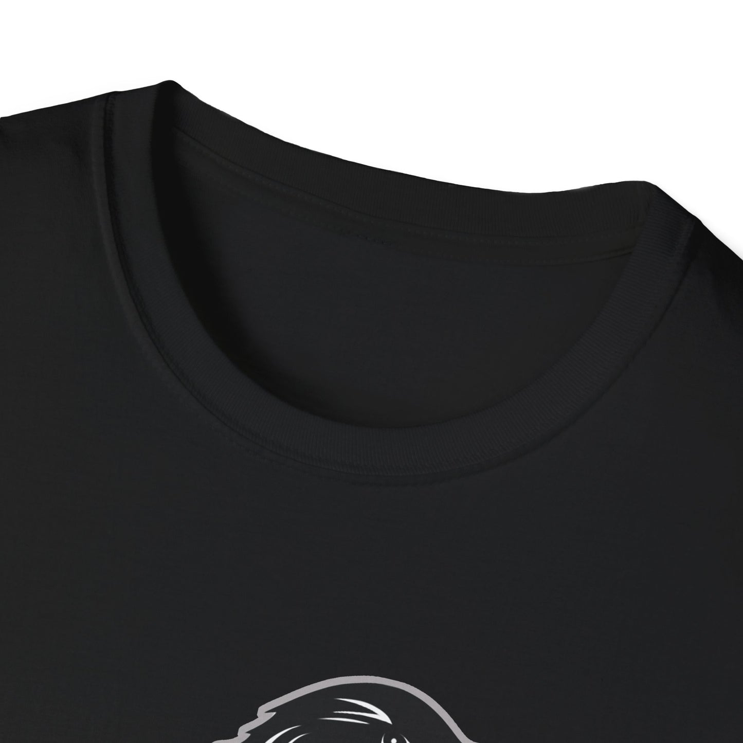 Raven-House T-Shirt | Raven T-Shirt | Wizarding School House T-Shirt