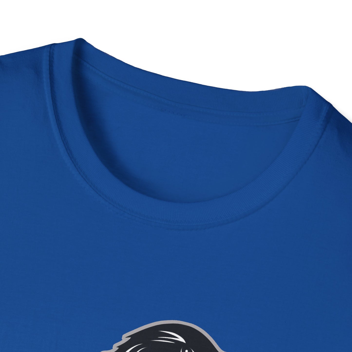 Raven-House T-Shirt | Raven T-Shirt | Wizarding School House T-Shirt