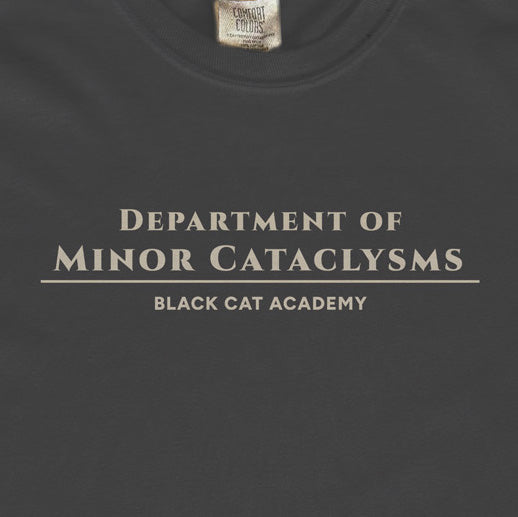 Department of Minor Cataclysms