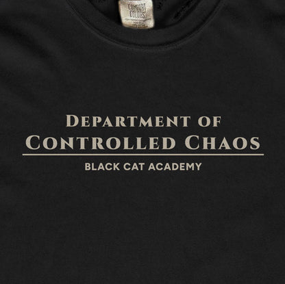 Department of Controlled Chaos