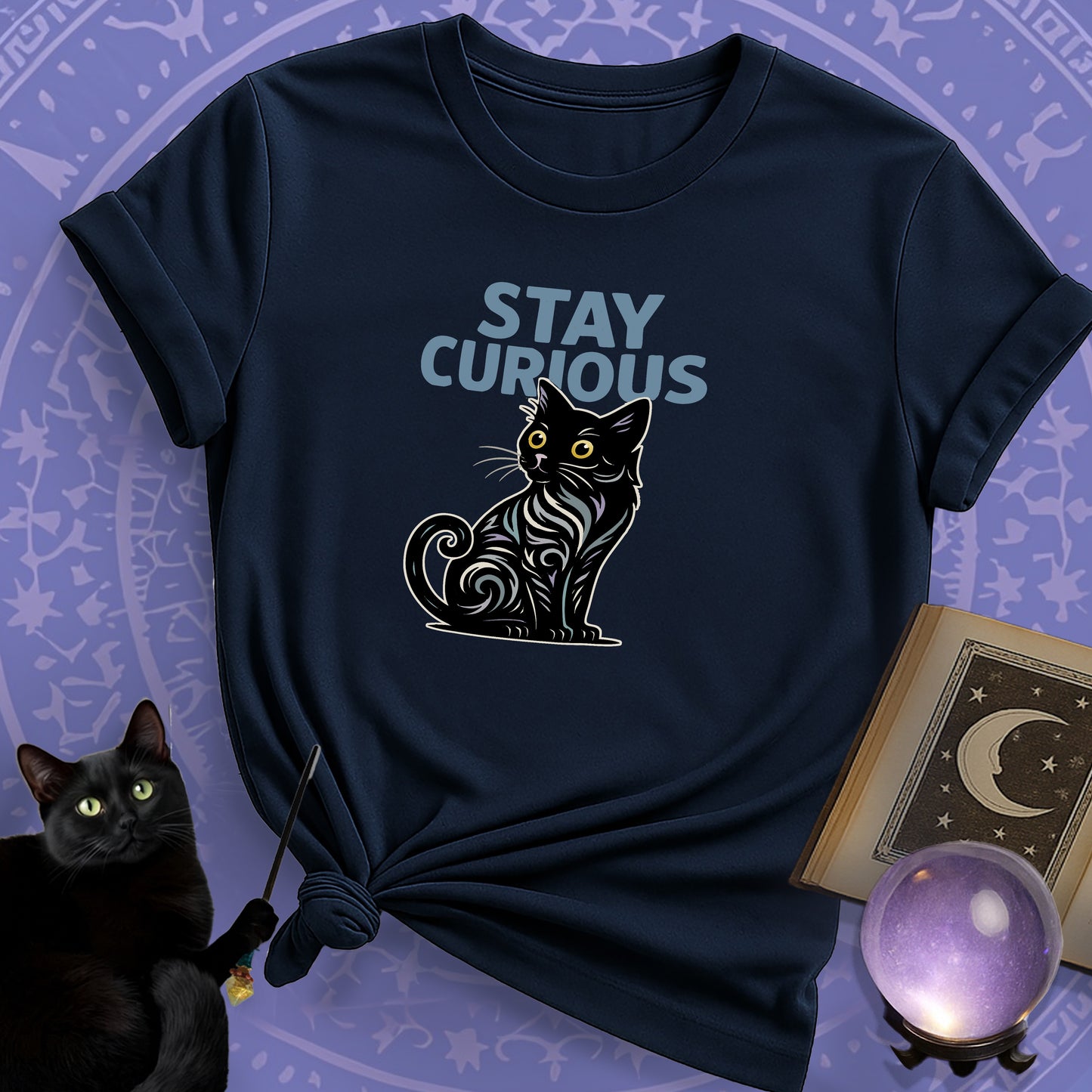 Stay Curious Cat T-Shirt